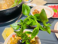 -由衷贵州酸汤牛肉火锅(新桥店)