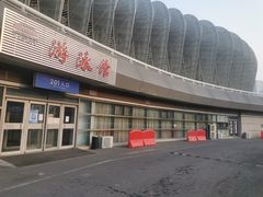 -奥体中心游泳馆