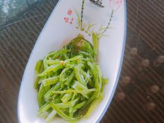 海草-阿南海鲜