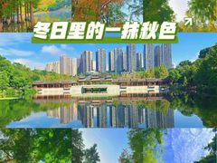-重庆彩云湖湿地公园
