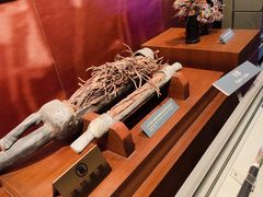 -上海电信博物馆
