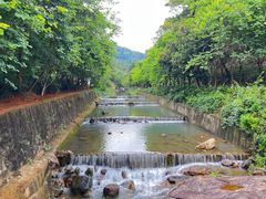 -广州白江湖森林公园