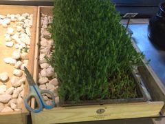 -夫妻肺片·中华老字号·正宗川菜(春熙路店)
