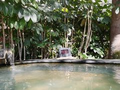 -厦门途易蓝罗约海景温泉酒店(园博苑地铁站店)