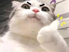 -梅林春晓花园餐厅