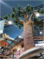 -卡通尼·Safari非洲探索乐园·生日会(金桥国际商业广场店)