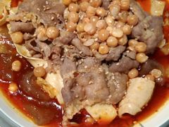 -杨家火锅(国美店)