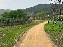 -四明湖
