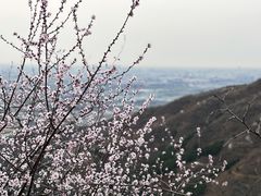 -香山公园