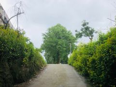 -笑红饭庄