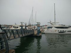 -日照世帆赛基地