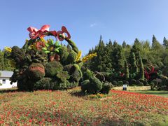 -东平国家森林公园