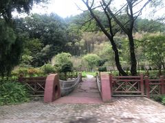 -素山寺森林公园