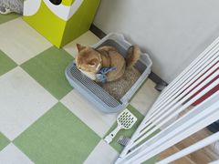 -上海浦东smart汽车全功能店(金桥店)
