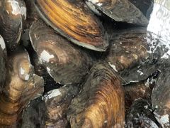 -八仔大富楼·河鲜(西江店)