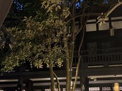 -王家渡火锅(三苏祠店)