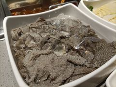 -海底捞火锅(北京路店)