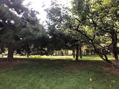 -元大都城垣遗址公园