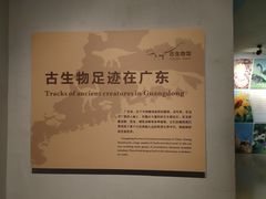 -广东省博物馆
