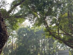 -赛百味SUBWAY(地王广场店)