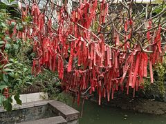 -小洲村