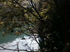 -祁门牯牛降观音堂风景区