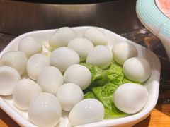 -堂客老火锅(欣阳广场总店)