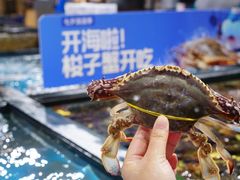 -盒马鲜生(曜一城店)
