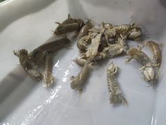 -望海潮海鲜店 特色家常菜(在海一方店)