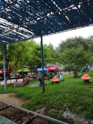 -大望京儿童游乐场