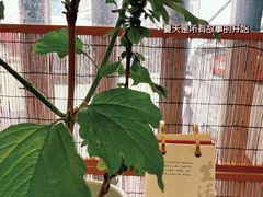 -纳地素食(石门公园店)