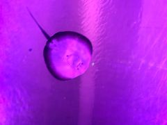 -波塞冬旅游度假区