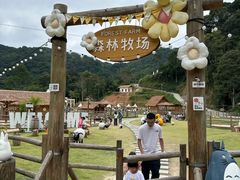 -龙岩森林水乡景区