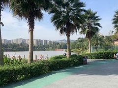 -枫香湖儿童公园