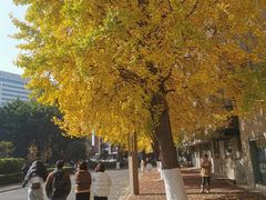 -四川大学(华西校区)