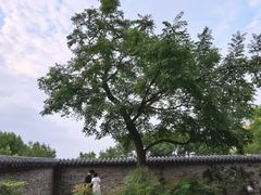 -南京市江宁方山