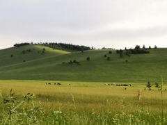 -塞罕坝国家级自然保护区