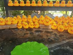 -湖泉半山温泉(湖泉生态园)