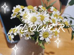 -AHAVA·Fang Baking Studio