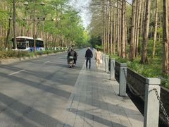 -长田漾湿地公园
