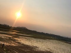 -光明小镇欢乐田园