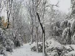 -美泰泰国餐厅(中大银泰店)