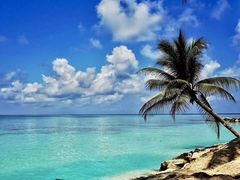 -卡帕莱度假村(西巴丹岛)