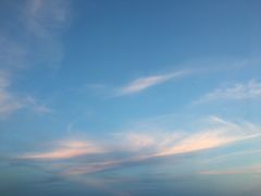 -莫内艺术岛海景咖啡