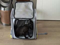 -瑞派福兴宠物医院犬猫全科·骨科·中西医结合(河东店)