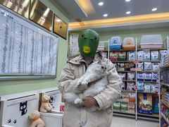 -瑞鹏宠物医院·夜间急症·心超·猫科(祖庙分店)