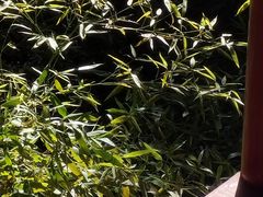 -碑林公园