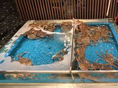 -蟹将军·松叶蟹和牛日料放题自助(K11店)