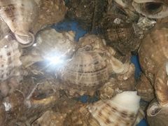 -沟北海边饭店(海埠路店)