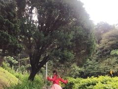 -云顶高原